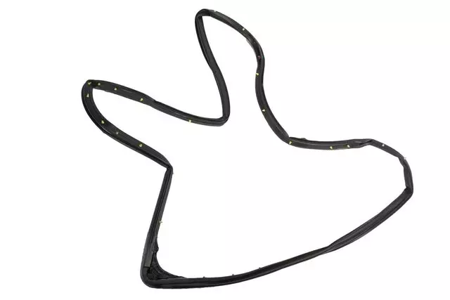 15922955 - Body: Door Weather-strip for Cadillac: STS Image