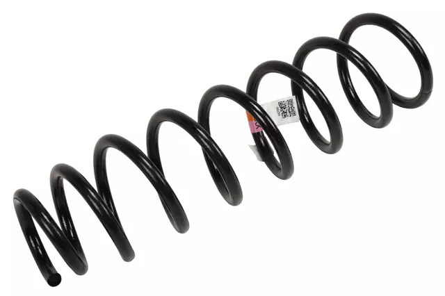23290920 - : Rear Coil Spring for GM Image