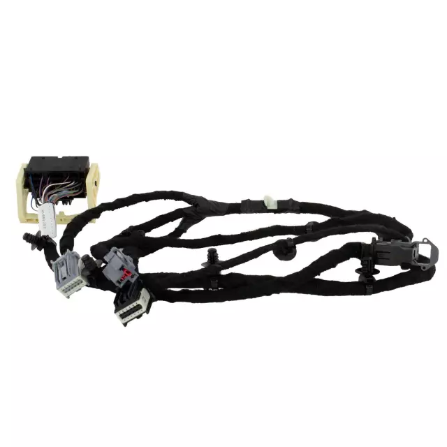 Wire Assembly - Ford (LX6Z-14A318-EK)