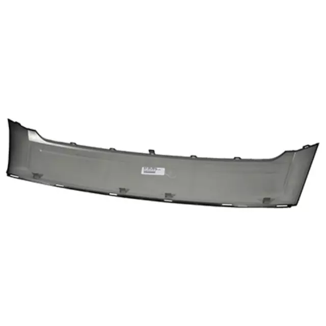 Lower Molding - Ford (BT4Z-8200-EPTM)