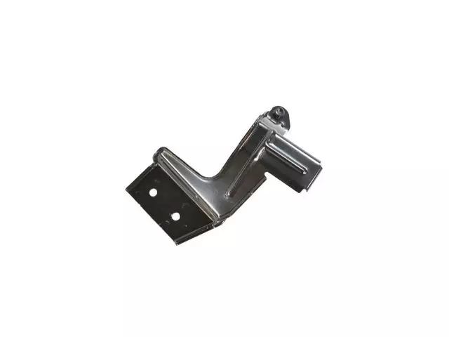 Fuel Filter Bracket - Mopar (52029520AC)