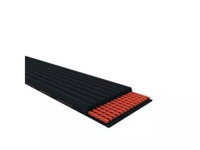 Belt - Ford (JK8-803)