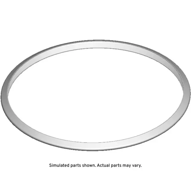 55569496 - : Catalytic Converter Seal for Buick: Cascada Image