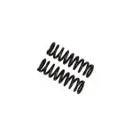 53291387 - : B12 (Special) - Coil Spring Set for Bilstein Image