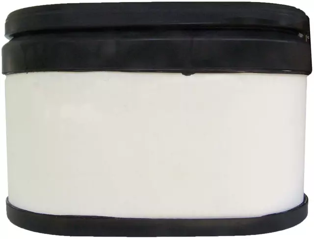 Air Filter - GM (15286805)