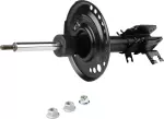 E43034RA3B - Suspension: Strut for Nissan: Maxima Image