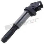 9212098 - : ThunderSpark 921-2098 Ignition Coil for ThunderSpark Image