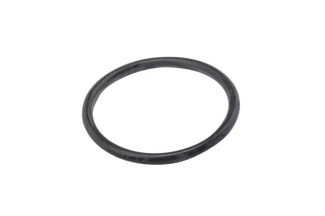 12583999 - : Intercooler Coolant Filler Cap Seal for GM Image