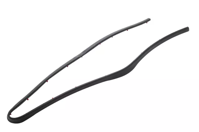 Driver Side Door Window Belt Weatherstrip - GM (84184298)