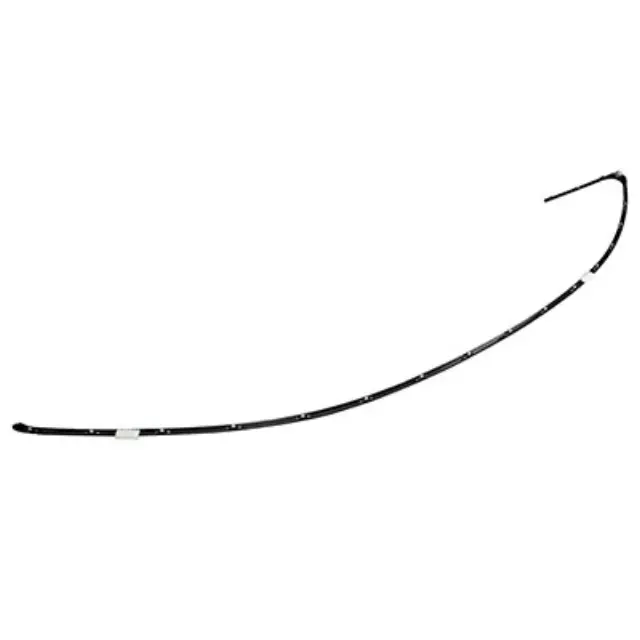 Drip Molding - Ford (5G1Z-5429797-AA)