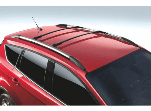 DJ5Z7855100CA - Hauling: Roof Rails - Silver 2 Piece Set for Ford Image