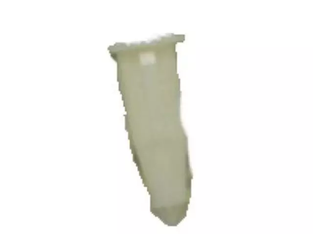 Nut Special - Ford (N804765-S)