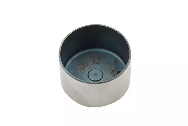 Engine Hydraulic Valve Adjuster/Valve Lifter - GM (19317155)