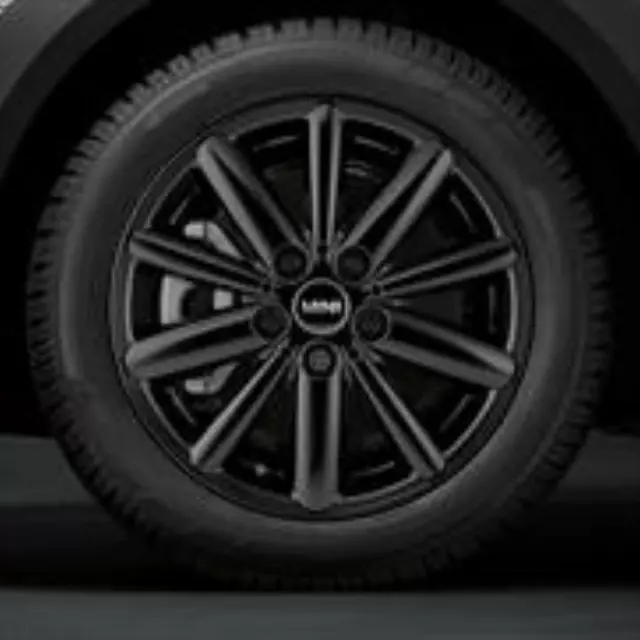 36115A1BF49 - : 16 Inch Style 508 Black Radial Spoke Winter for Mini Image