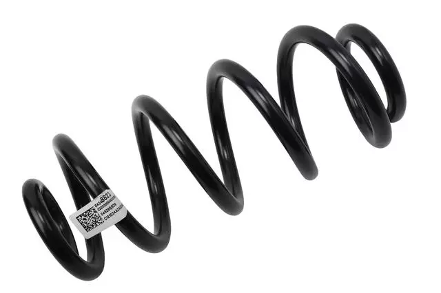 84348823 - : Rear Coil Spring for Buick: Envision Image