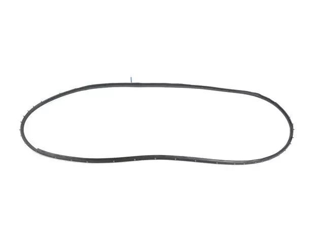 68420119AA - : Rear Door Mounted Weatherstrip, Right for Mopar Image