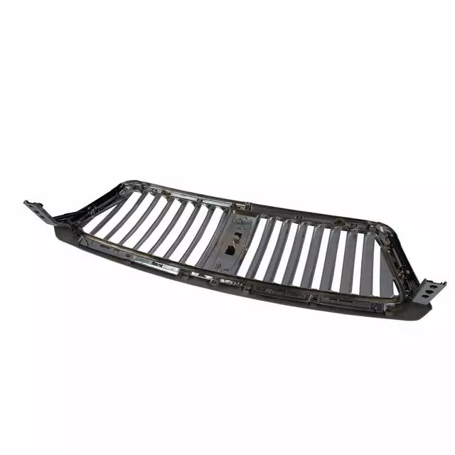 Grille Assembly Radiator - Ford (5L3Z-8200-GAPTM)