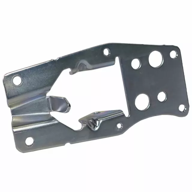 9L3Z99430B22A - Body: Step Insert for Ford Image
