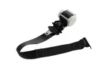 19356187 - Body: Seat Belt Lap And Shoulder Belt for GM Image