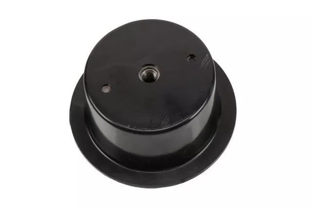 Spare Wheel Stowage Retainer - GM (92208061)