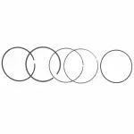 AG9Z6148E - Engine: Piston Rings for Ford: Escape, Explorer, Focus, Fusion | Lincoln: MKC, MKT, MKZ Image