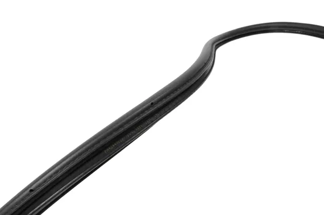 Rear Side Door Weatherstrip - GM (84888616)