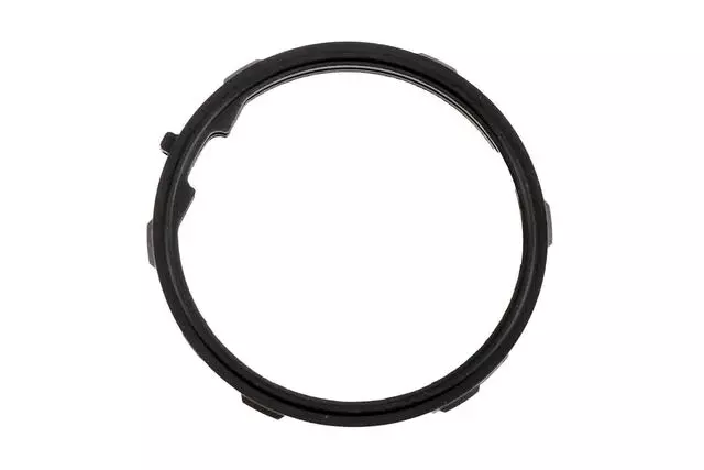 Water Inlet Seal - GM (12587397)