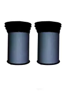 22035110 - : Fuel Filter for OmniParts Image