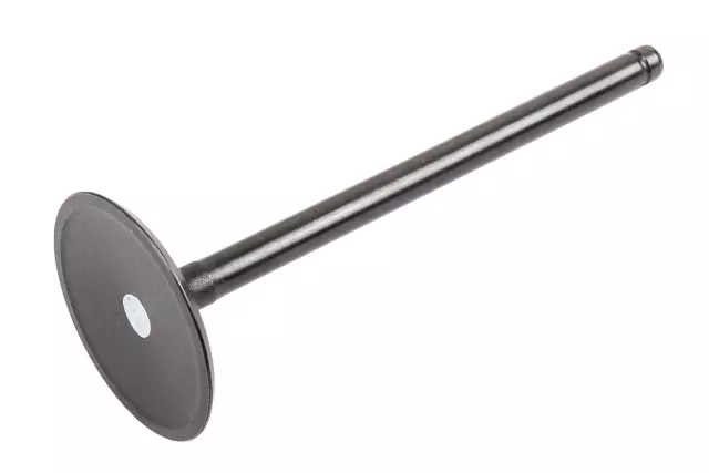 Intake Valve - GM (12619825)