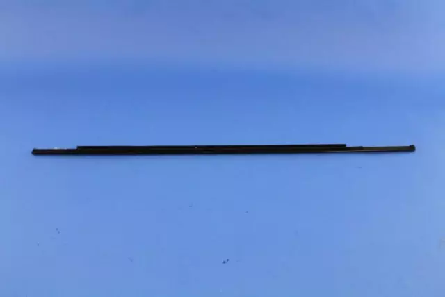 68159996AC - Doors, Door Mirrors and Related Parts: Door Belt Outer Weatherstrip, Right for Mopar Image