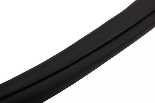 Front Side Door Body Side Weatherstrip - GM (84710502)