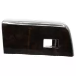 DC3Z14527HA - Body: Switch Bezel for Ford: F-250 Super Duty, F-350 Super Duty, F-450 Super Duty Image