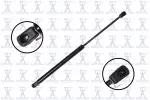 84451 - : Back Glass Lift Support for Focus Auto Parts Image