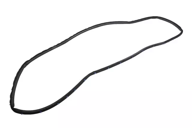 Rear Driver Side Door Weatherstrip - GM (84679406)