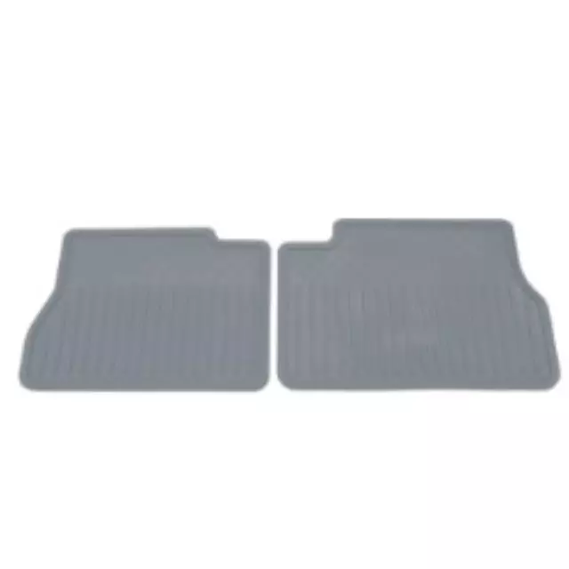 Floor Mats, Carpet, Rear - GM (19206160)