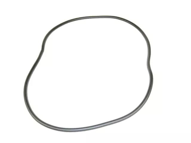 1JY42DX9AA - Body Sheet Metal Except Doors: Sunroof Trim Lace for Mopar Image