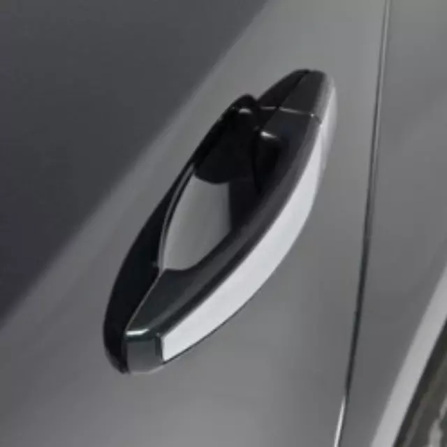 Door Handles Sets - GM (22817269)