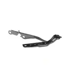 55113551AG - : Hood Hinge, Left for Chrysler: 300 | Dodge: Charger Image