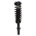 816753 - : PRT 816753 Suspension Strut and Coil Spring Assembly for PRT PERFORMANCE RIDE Image
