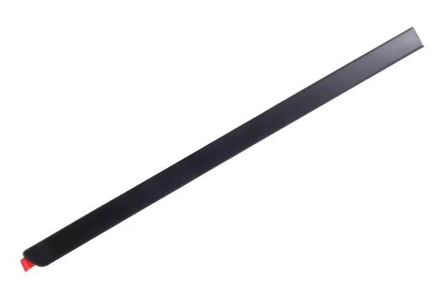 22763944 - : Black Rear Passenger Side Door Center Molding for GMC: Acadia | Saturn: Outlook Image