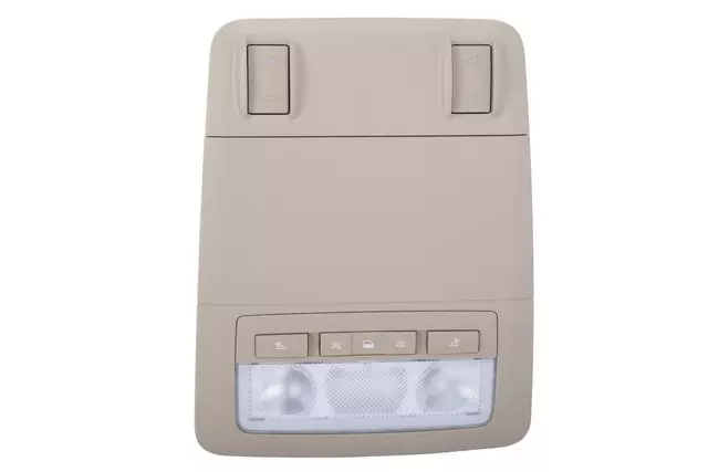 Light Neutral Roof Console - GM (95939834)