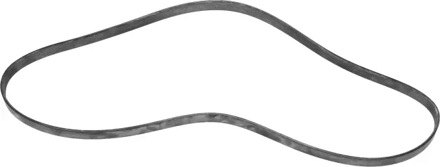 117204BA0B - : Serpentine Belt for Nissan Image