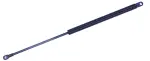 611126 - : Liftgate Lift Support for Tuff Support Image