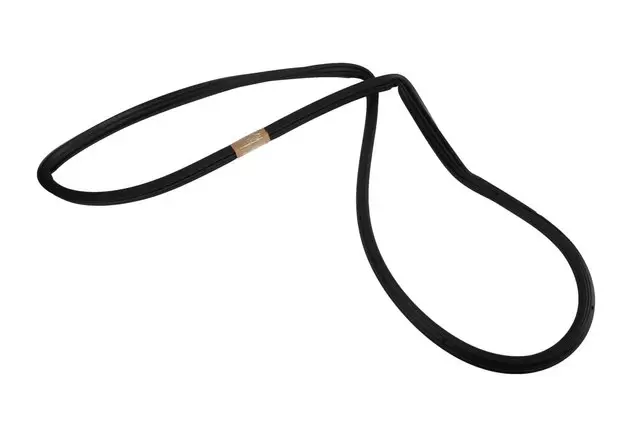 25949077 - Body: Back Glass Weatherstrip for GM Image