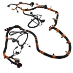 NL3Z14405CM - : Wiring Assembly Rear Lamps for Ford Image