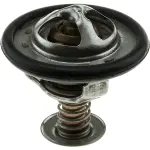 7299170 - : Fail-Safe Thermostat-170 Degrees w/ Seal for Motorad Image