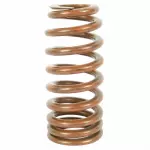 GR3Z6513B - Engine: Valve Springs for Ford: Mustang Image