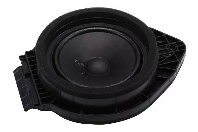 Rear Dr Speaker - GM (85109866)