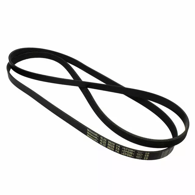4L2Z8620A - Cooling System: Serpentine Belt for Ford: Explorer | Mercury: Mountaineer Image