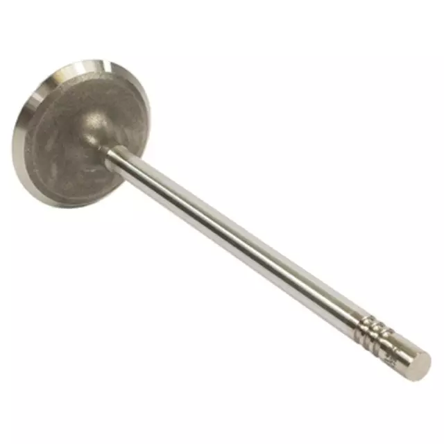 Intake Valve - Ford (JL3Z-6507-A)